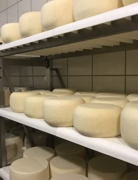 Lessinia Verona: dove trovare il vero formaggio di malga
